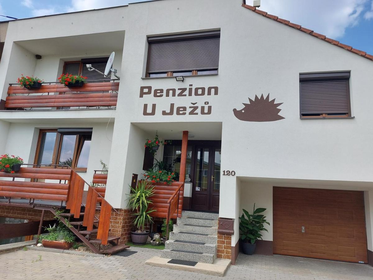 Penzion U Ježů - Ubytování Pasohlávky Exterior foto